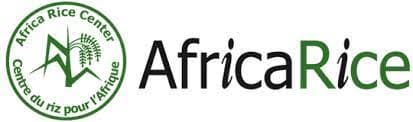 AfricaRice